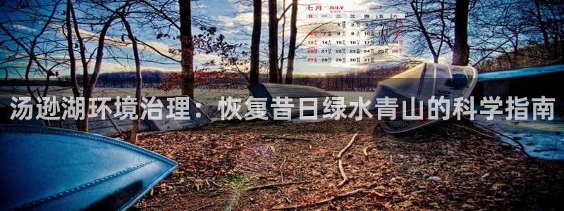 凯发k8国际首页登录：汤逊湖环境治理：恢复昔日绿水青山的科学指南