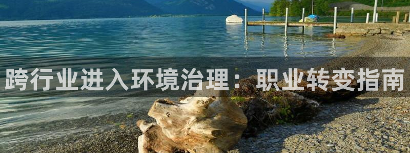 凯发k8官网登录vip：跨行业进入环境治