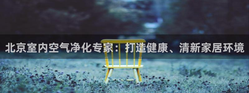 凯发k8国际(中国)官方网站·一触即发：北京室内空气净化专家：打造健康、清新家居