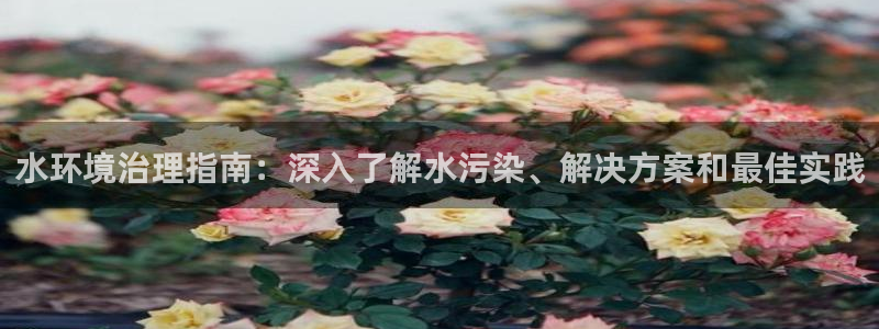 凯发k8国际手机下载