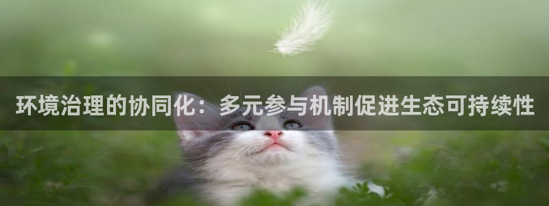 k8凯发国际官方入口|环境治理的协同化：多元参与机制促进生态可持续性