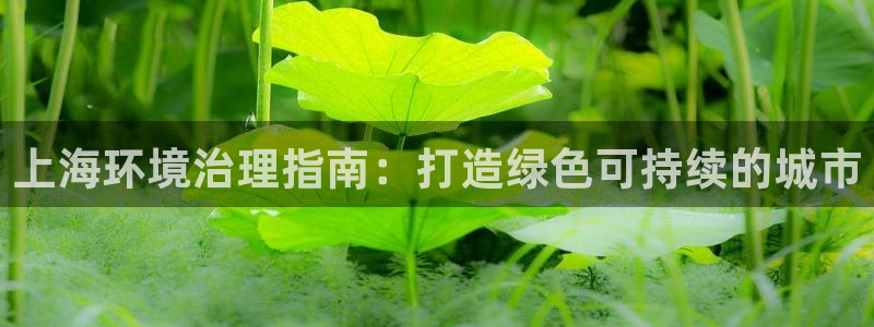 凯发网娱乐官网登录|上海环境治理指南：打造绿色可持续的城市